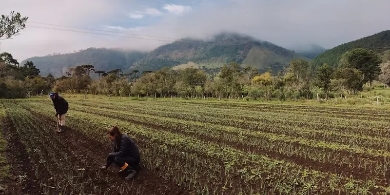 Healthy Sustainable Food System: Global Governance to Accelerate Change