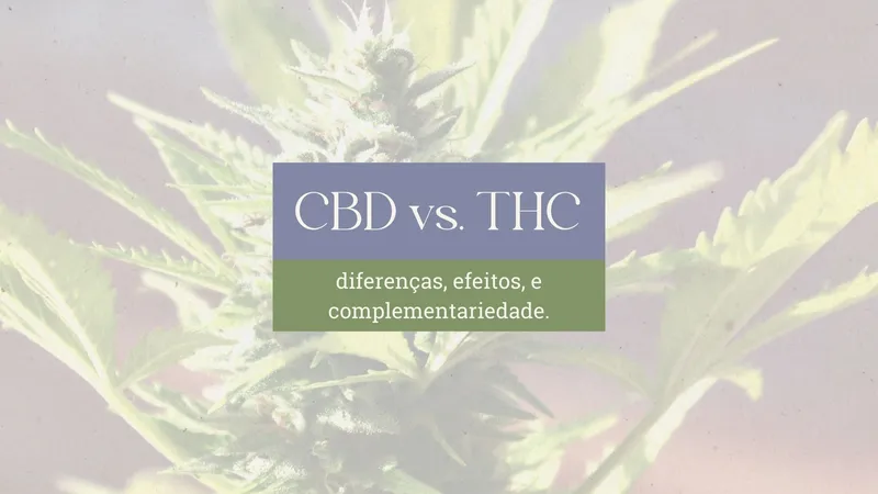 CBD x THC: Diferenças, efeitos e como se complementam na Cannabis Medicinal
