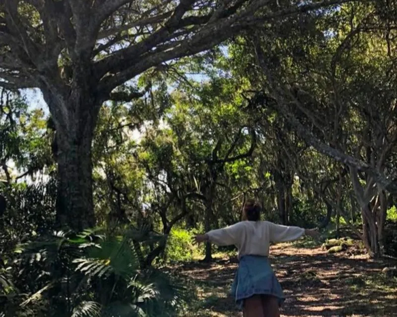 Tratamentos Naturais Integrativos para Fadiga e Cansaço Persistente