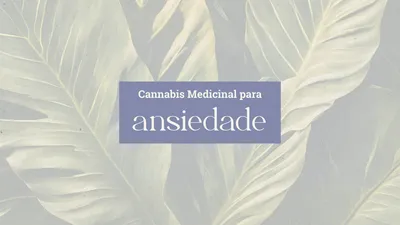 Canabidiol para Ansiedade: O Que a Ciência Realmente Diz
