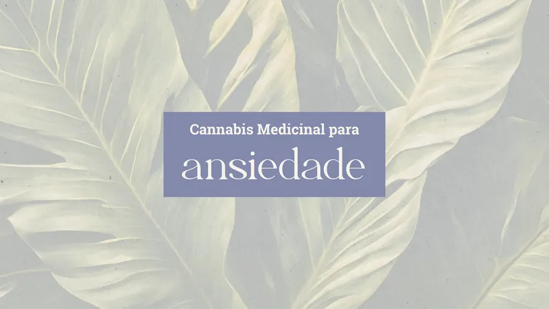 Canabidiol para Ansiedade: O Que a Ciência Realmente Diz